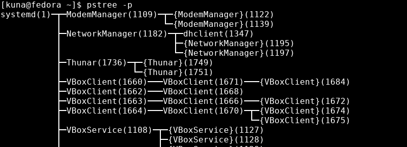 Output of pstree -p: systemd(1) at the left with branches to ModemManager, NetworkManager, Thunar, VBoxClient and VBoxService, each with a pid in brackets