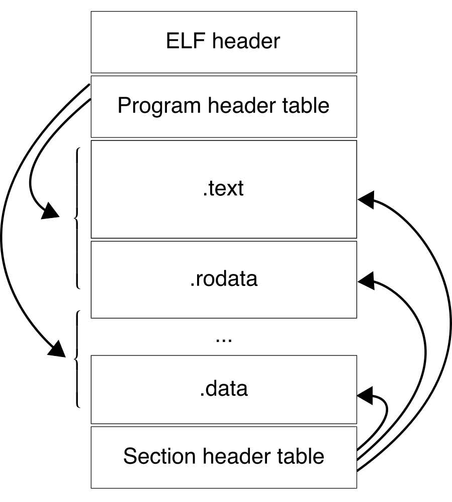 Diagram of an ELF file: ELF header, program header table, sections .text, .rodata and .data, and a section header table, with arrows from the program header table to groups of sections and from the section header table to each section