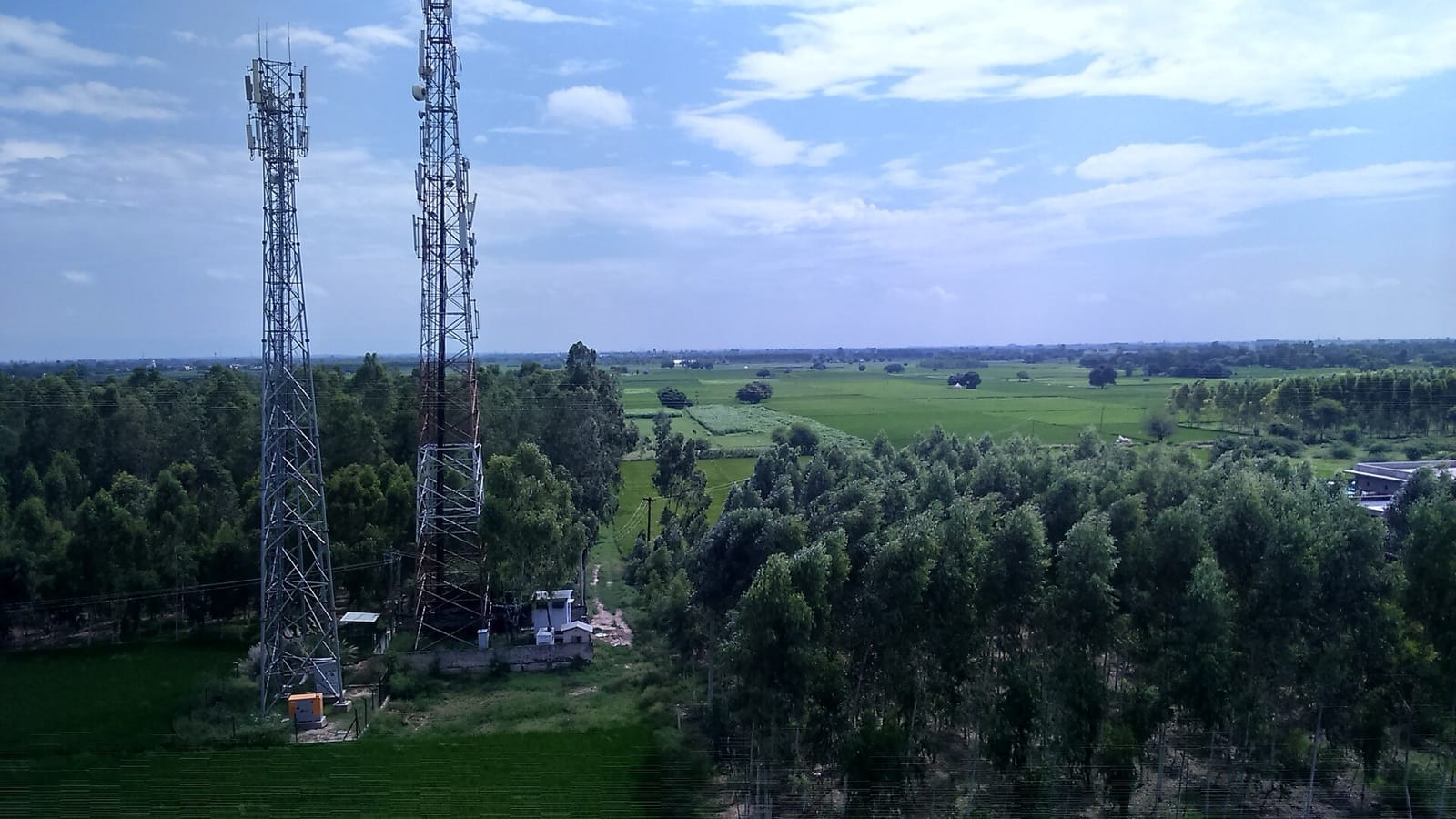 A mobile phone tower standing in farm fields in Punjab