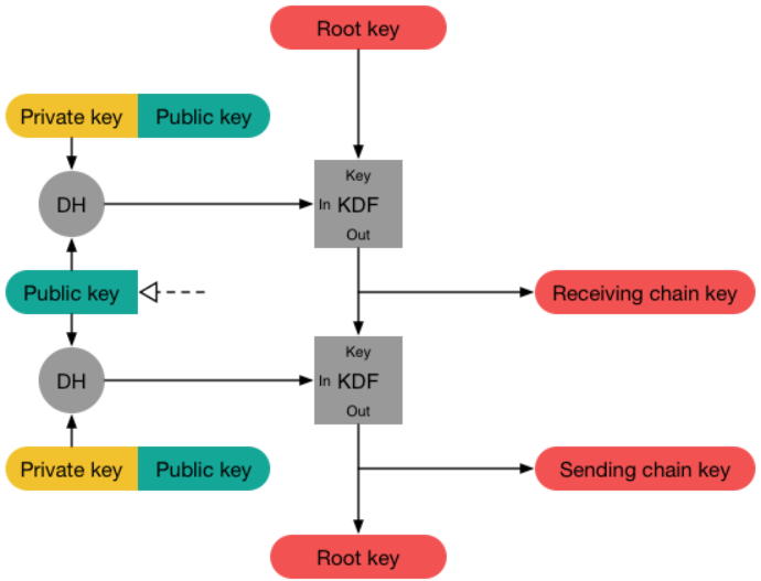 A flow diagram: a received public key is combined with the phone's private keys in two Diffie–Hellman steps, each feeding a key-derivation function that turns the root key into a receiving chain key, then a sending chain key and a new root key